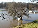 2011-01-17, Pillnitz (29)